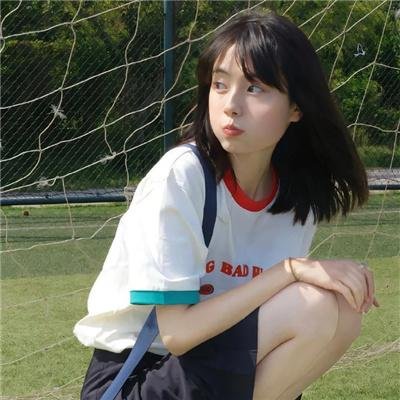 冰上动物宝宝